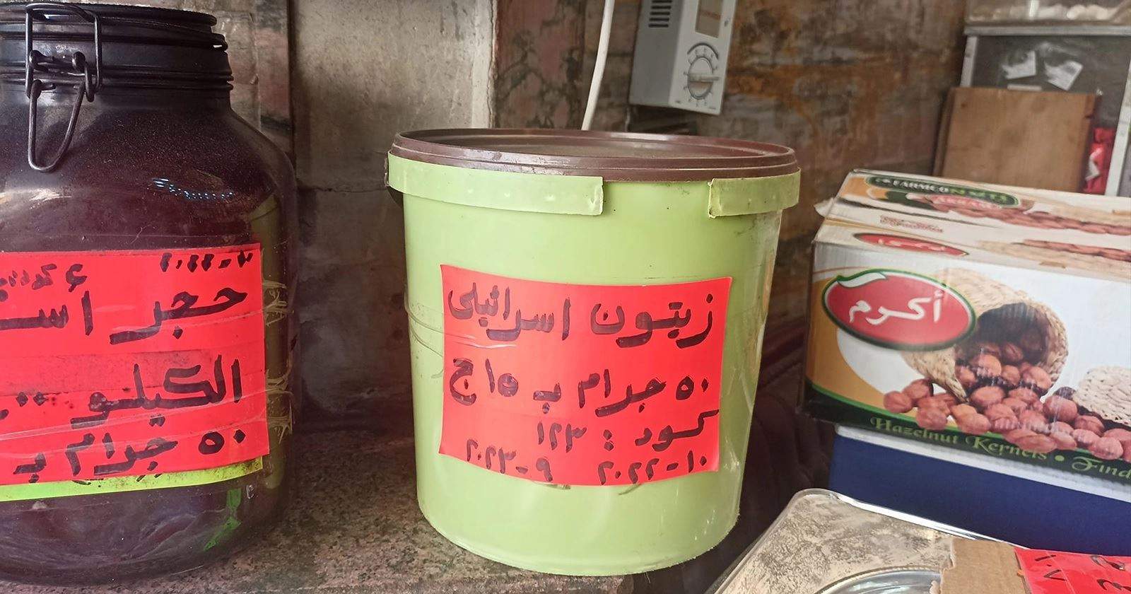 ظهور "زيتون إسرائيلي" وسط القاهرة يُثير الجدل في مصر 