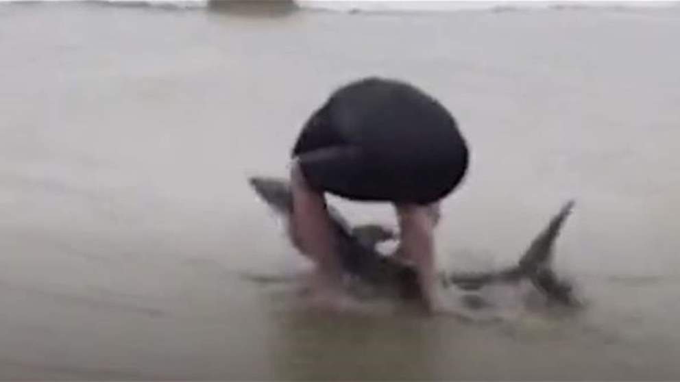 غامر بحياته لإنقاذ القرش .. اليكم ما فعله هذا الرجل الاسترالي!