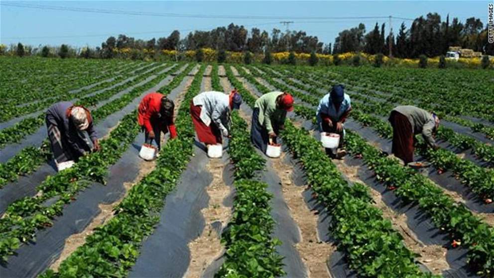  مصر تحقق رقما قياسيا لأول مرة في التاريخ