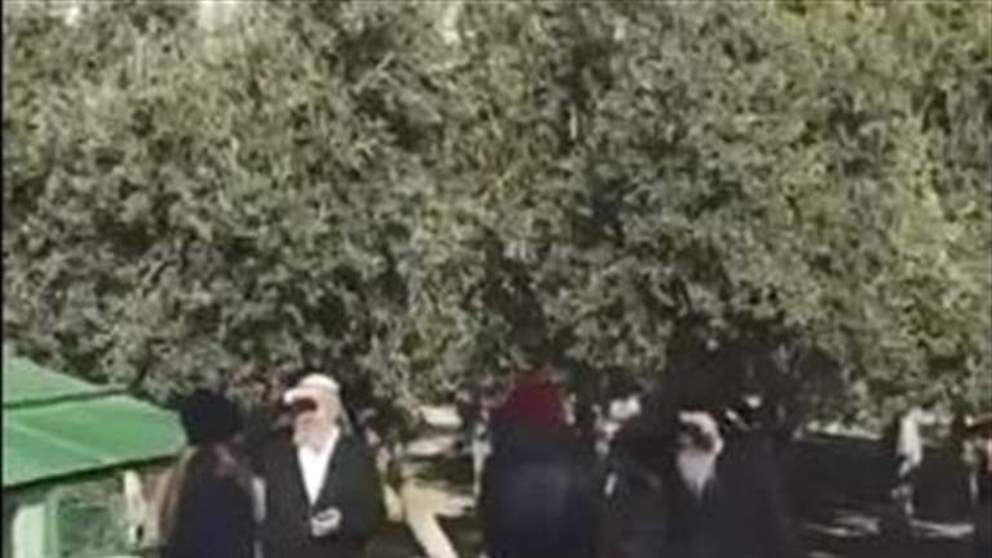مستوطنون يقتحمون المسجد الأقصى