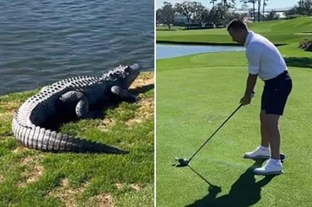 فيديو - حين وجد جون تيري نفسه مع التمساح وجهاً لوجه !!