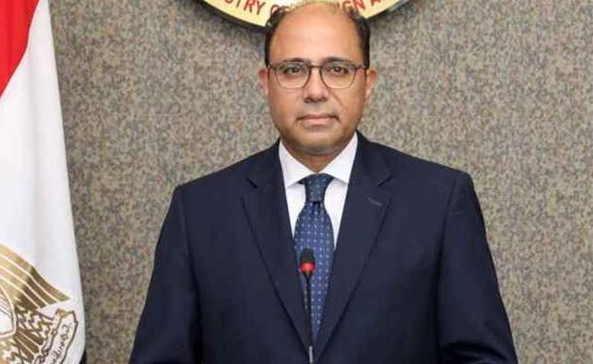 المتحدث باسم خارجية مصر ردًا على تصريحات نصرالله بشأن بلاده: عبثية وتحاول استدعاء بطولات زائفة