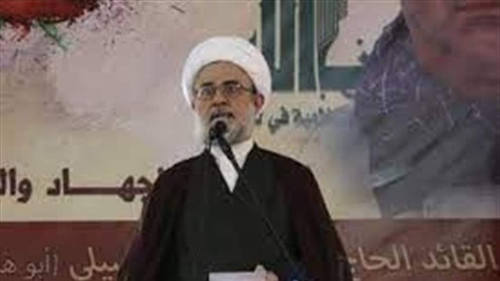 قاووق : هناك فريق سياسي مشروعه الانقلاب على التركيبة والهوية والتوازنات الداخلية الوطنية