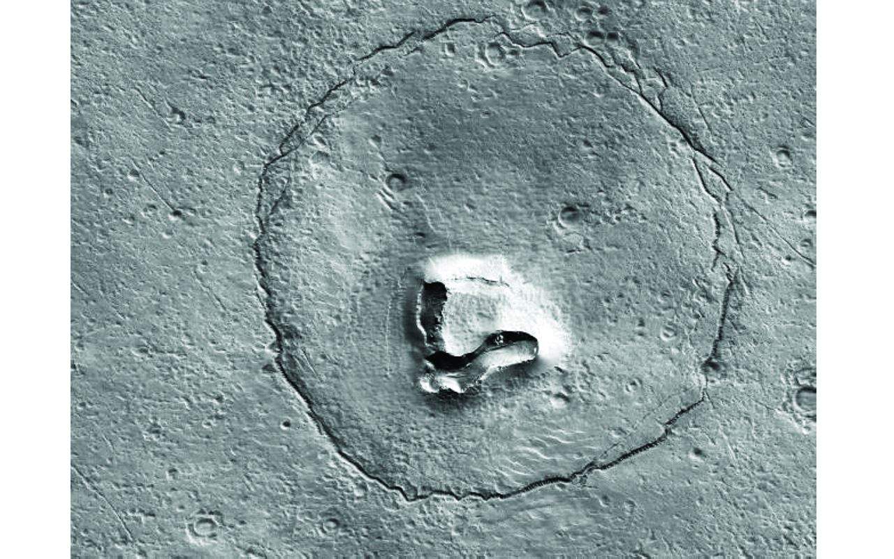 دب على المريخ.. أسرار صورة "ناسا" التي أثارت التساؤلات !