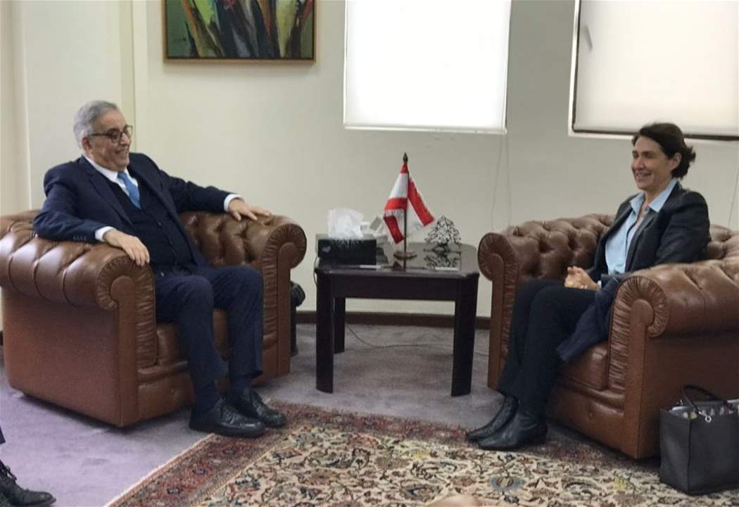 وزير الخارجية التقى آن غريو وتم البحث في القضايا الداخلية وبعض الشؤون الاقليمية