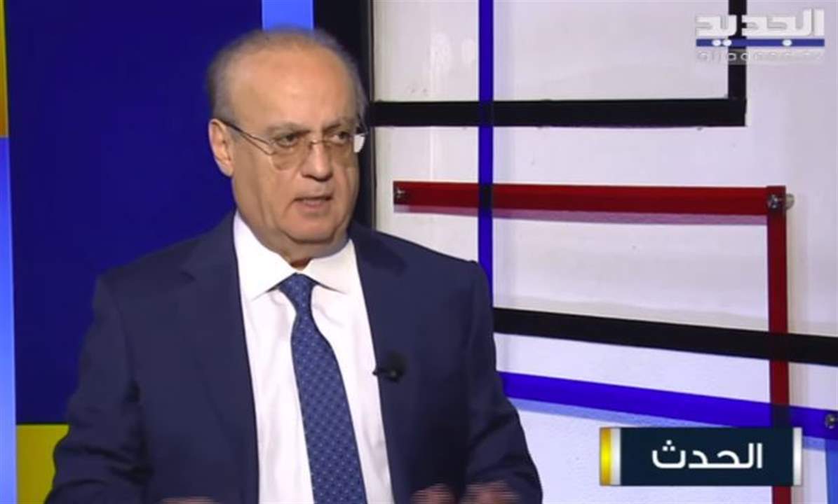 الوزير السابق وئام وهاب: ما قام به القاضي طارق البيطار  غير قانوني ورد عليه القاضي غسان عويدات بخطوة غير قانونية 