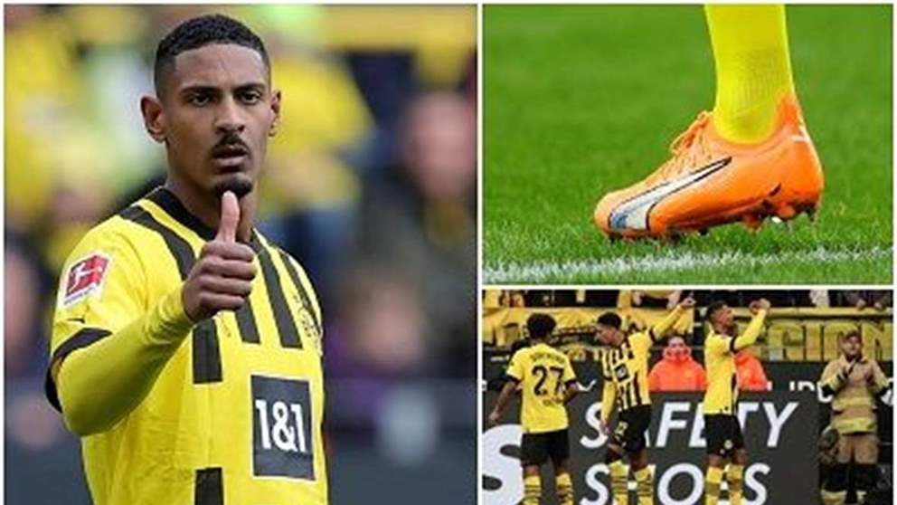 فيديو - هالر يهزم السرطان ودورتموند يكتسح فرايبورج