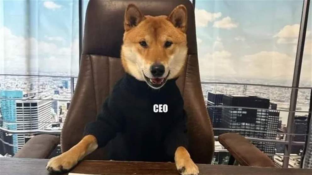  تغريدة ساخرة لإيلون ماسك مع صورة لكلب: "الرئيس التنفيذي الجديد لتويتر رائع"!