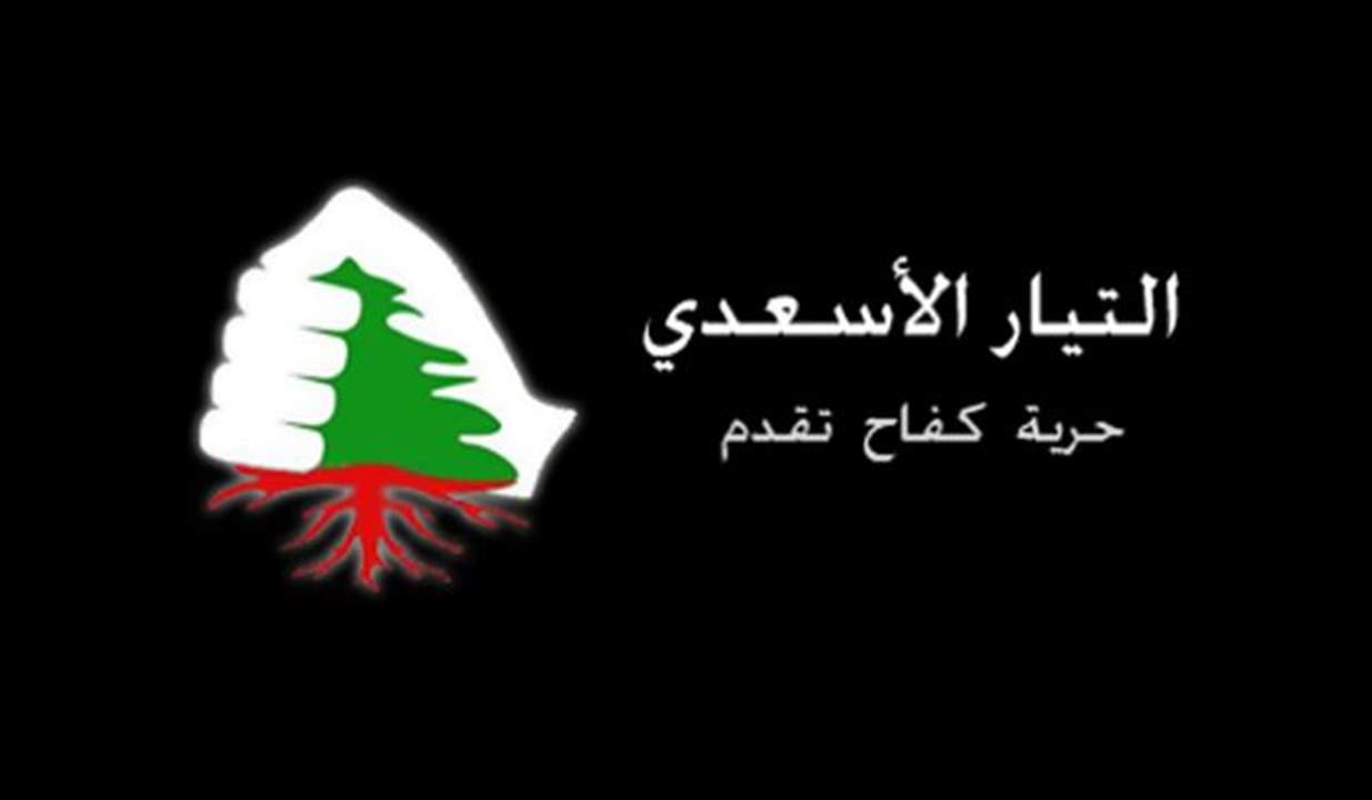 "التيار الاسعدي" : التصويب على عمل غادة عون تدخل غير مسبوق في عمل القضاء