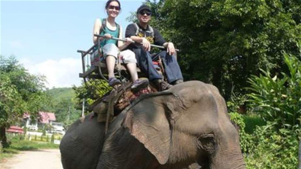 صورة "مروعة" تظهر ما يحدث للفيل بسبب حمل السياح لعقود!