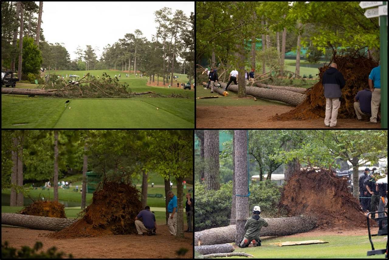 فيديو – رياحٌ عاتية تُسقط أشجاراً في حقل للغولف