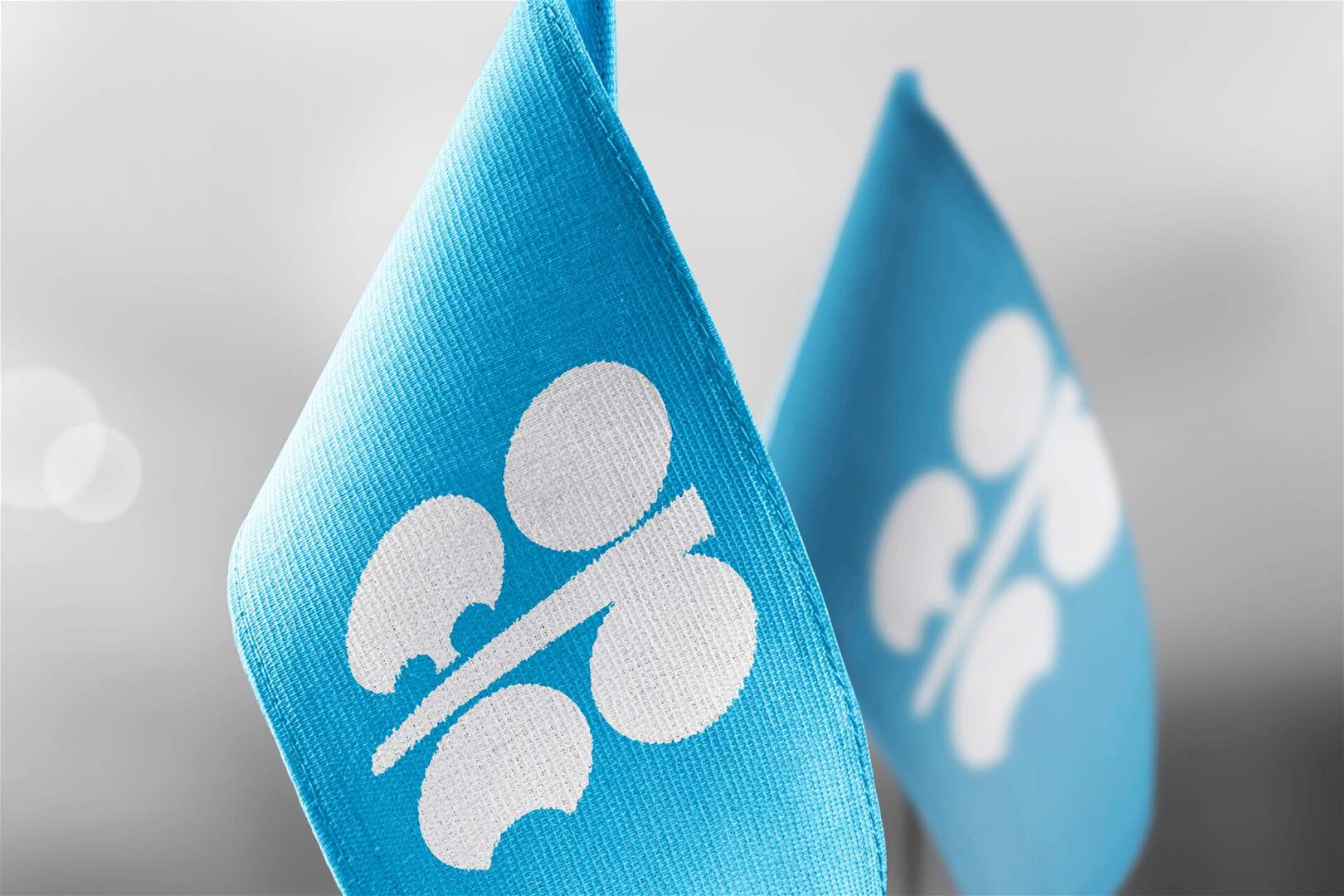 "أوبك" تتوقع نموا في الطلب العالمي على النفط عام 2023