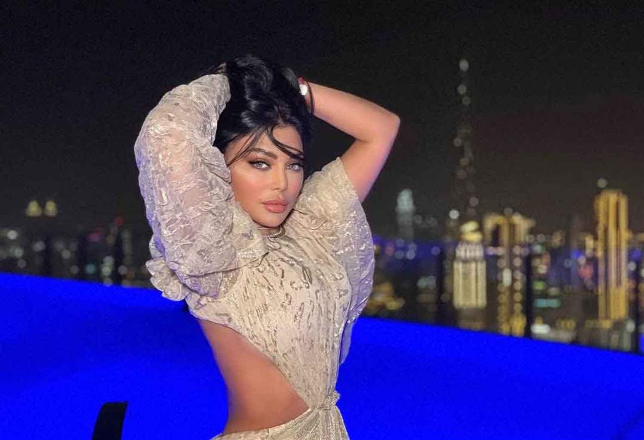 بعد قرار منع عرض فيلم "رمسيس باريس".. هيفا وهبي تتحدى المحكمة