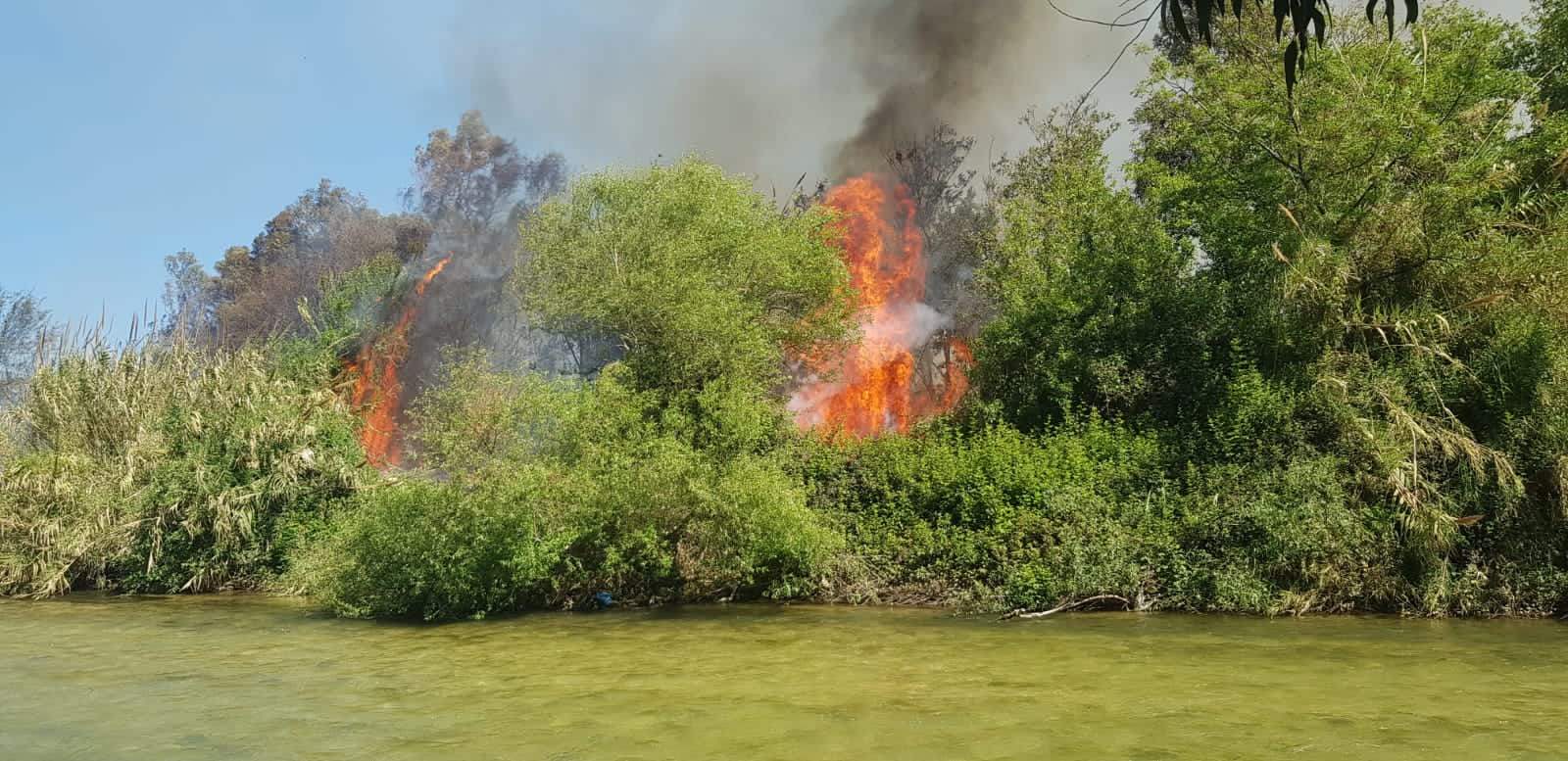 مراسل "الجديد": حريق كبير على ضفة نهر الأولي عند مدخل صيدا الشمالي