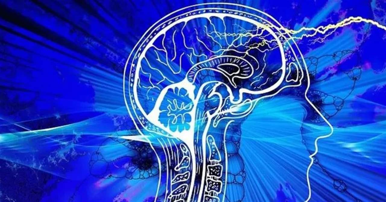  "أسرارا مثيرة" تكشفها دراسة بشأن أدمغة الناطقين بالعربية