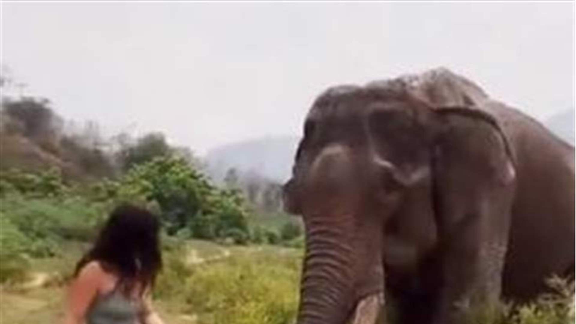 بالفيديو - كانت تمازح فيلاً ضخماً فتلقت ضربة قوية 
