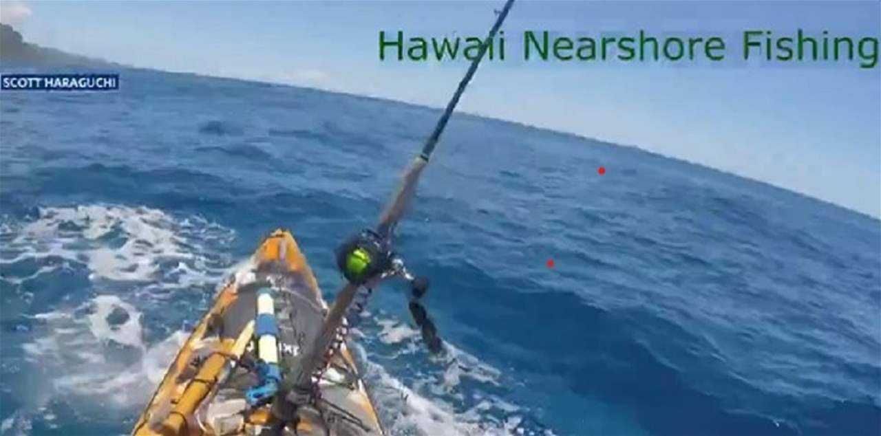 فيديو - صيّاد وجد نفسه في مواجهة مع سمكة القرش