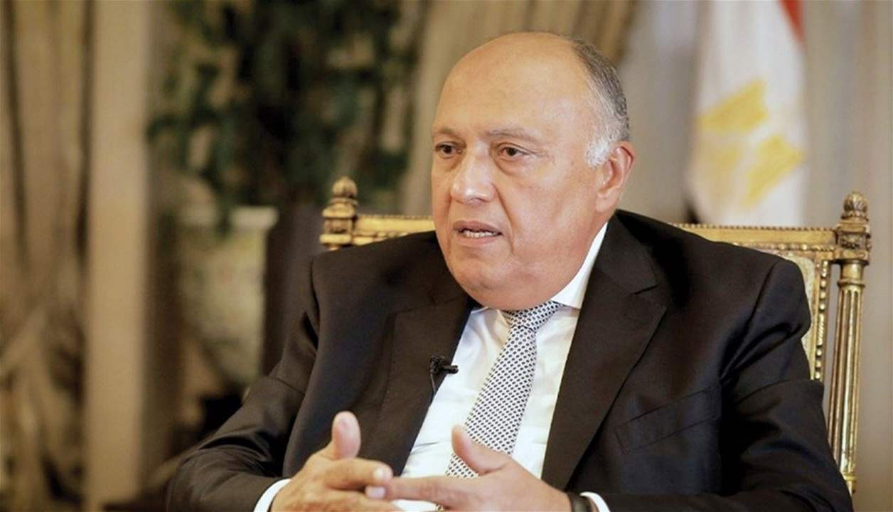 وزير الخارجية المصري يتوجه إلى أنقرة للمشاركة في مراسم تنصيب أردوغان