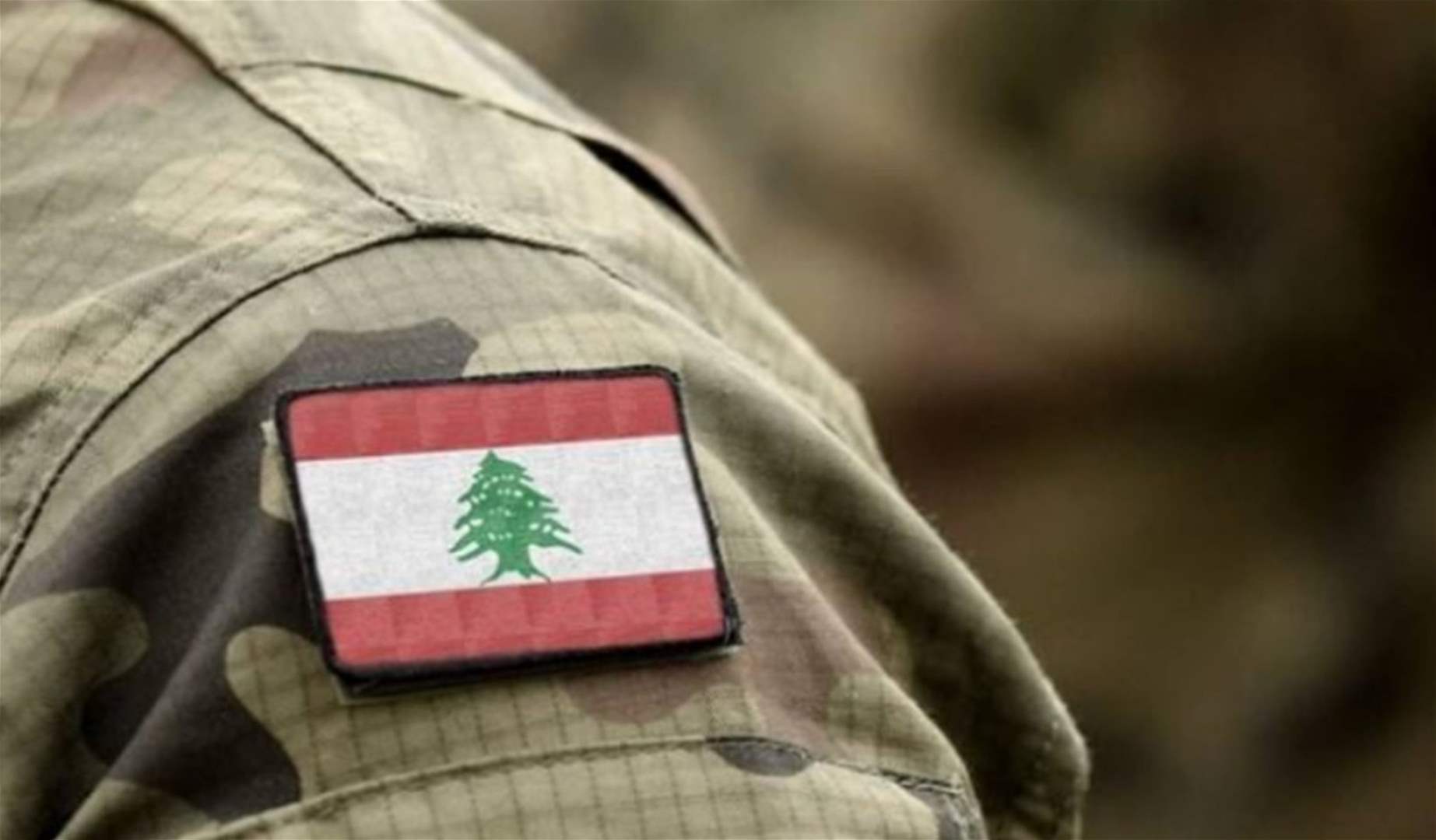 الجيش: توقيف فلسطيني لارتكابه جرائم مختلفة في منطقة برج البراجنة