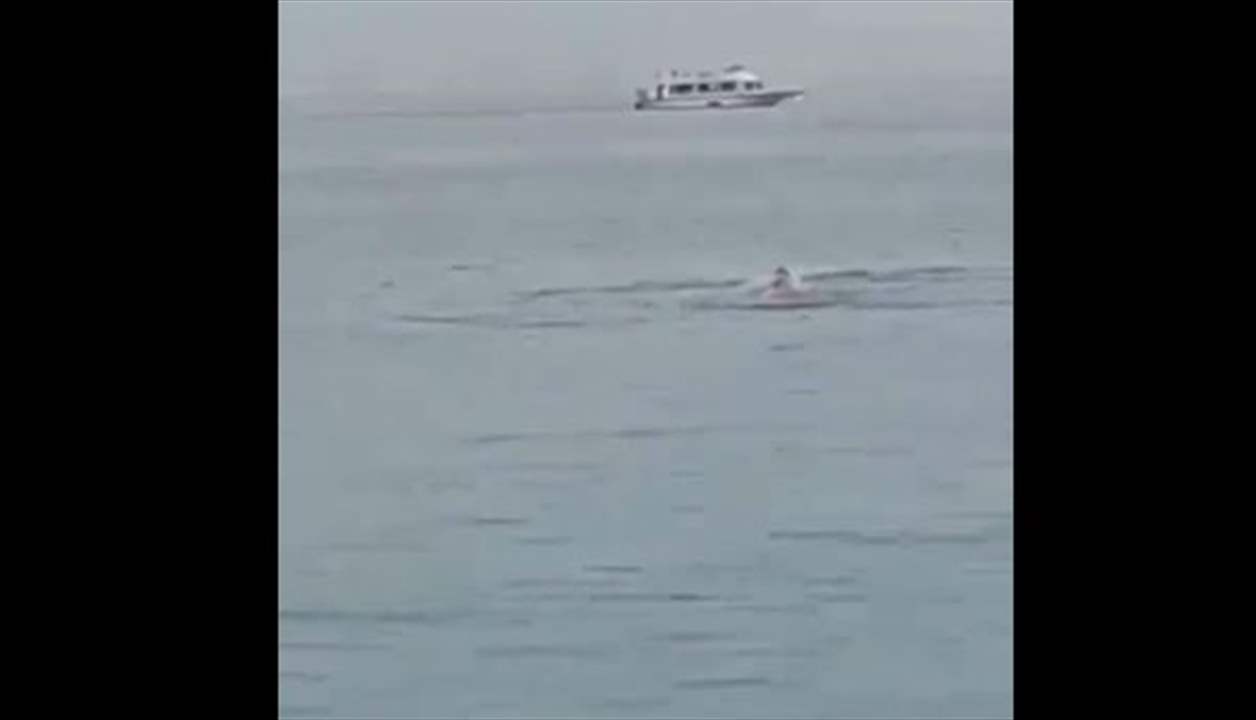 بالفيديو- لحظة انقضاض قرش على سائح في الغردقة.. والسلطات تشرح التفاصيل