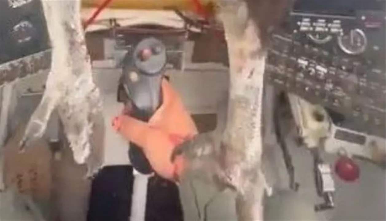 شاهد.. طائر ضخم يصدم طائرة ويترك قائدها مغطى بالدماء