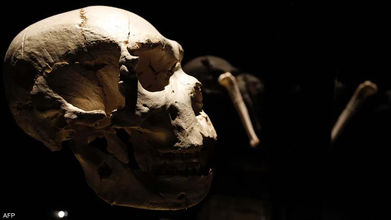 داخل كهف في لاوس.. اكتشاف "أسرار" عمرها 86 ألف عام