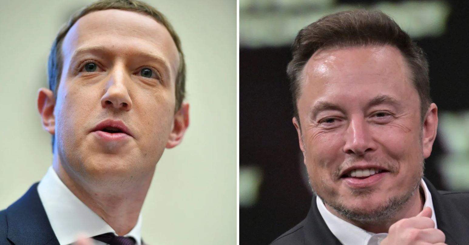 قصة مشتعلة.. ماسك يتحدى زوكربيرغ بقتال في "الحلبة"