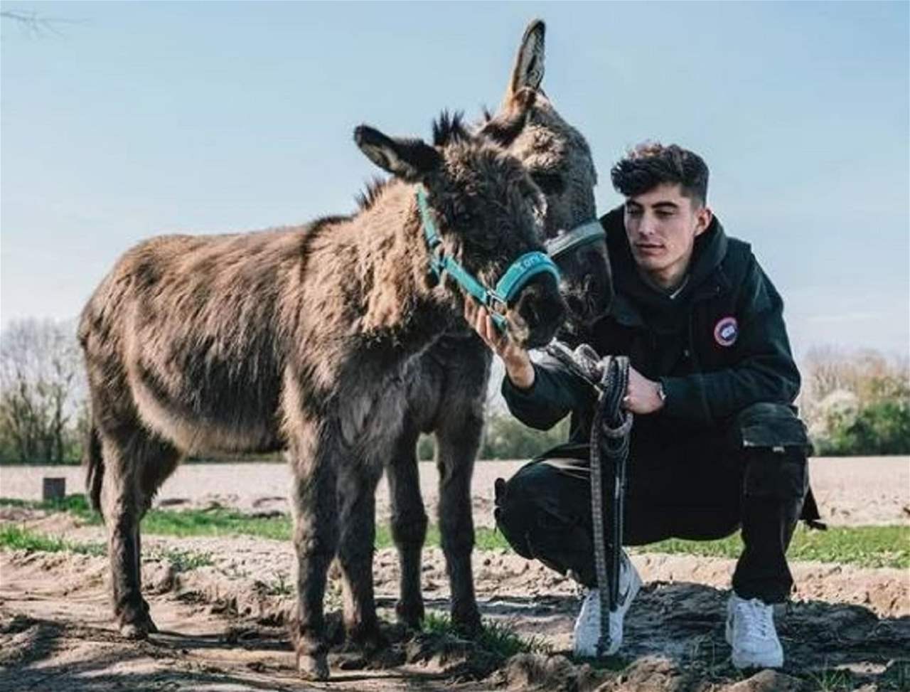 نجم شهير سعيد للغاية بعد أن سُمِّيَ حمار باسمه !!