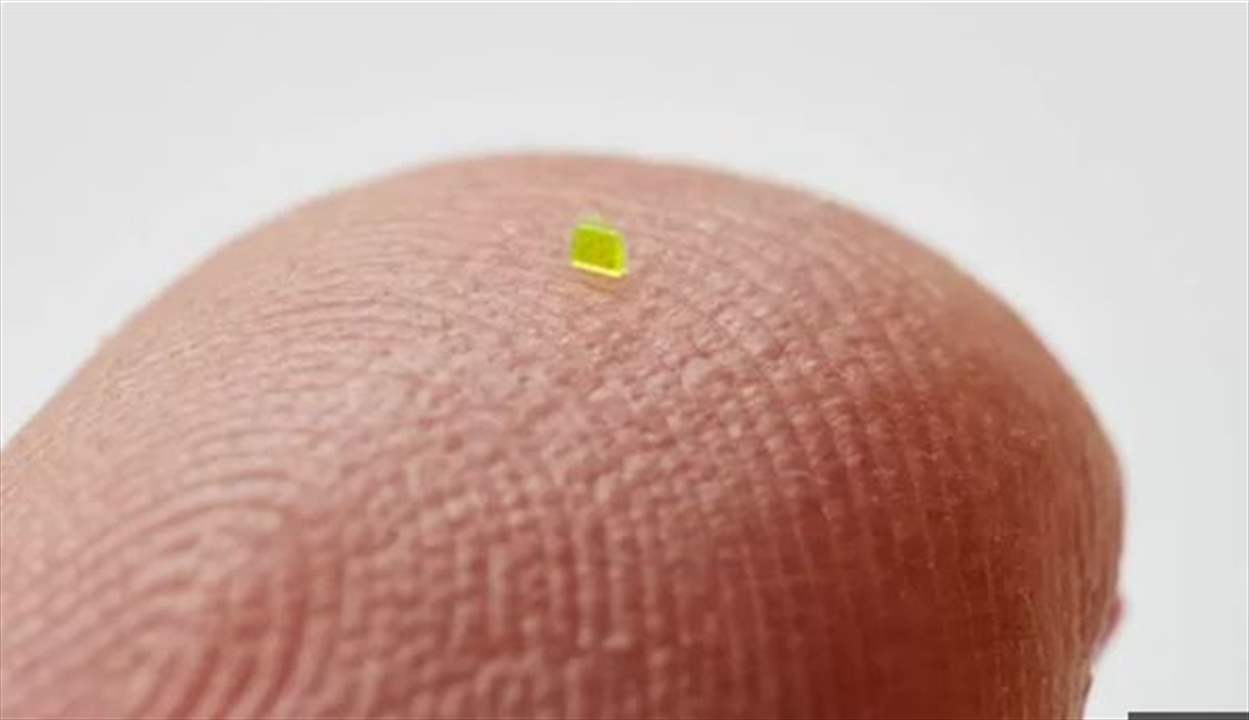 بالصورة- حقيبة مجهرية "أصغر من حبة الملح" تباع بأكثر من 60 ألف دولار