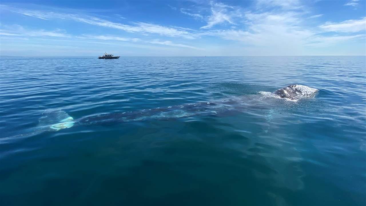 ضل طريقه 137 يوما في المحيط .. وهكذا تم انقاذه 