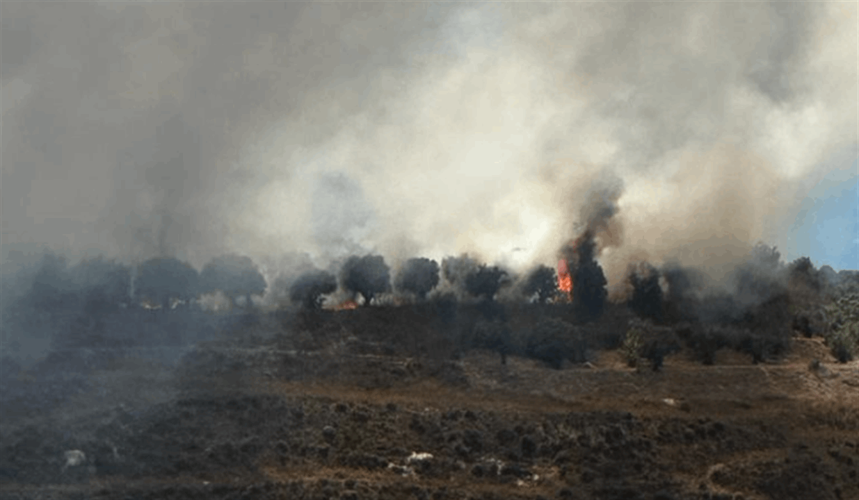 حريق في ضهور الرميلة والدفاع المدني توجه لاخماده