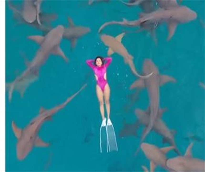 بالفيديو - لحظات تخطف الأنفاس.. سبّاحة سورية تنام على "فراش" من أسماك القرش