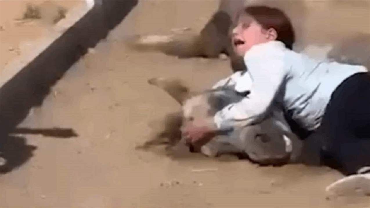 فيديو مؤثر لفارسة طفلة مات حصانها