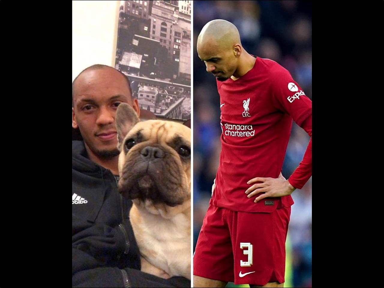 انتقال فابينيو الى السعودية يتأخر والسبب .. الكلاب !!