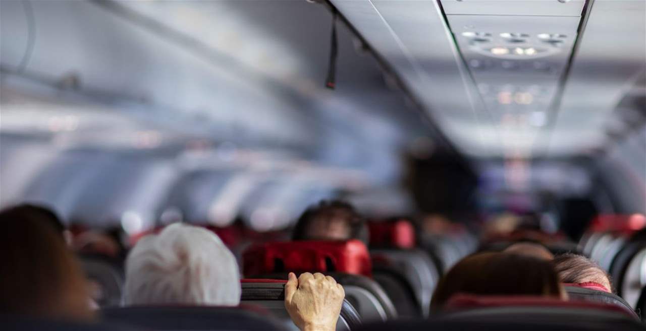 دب يهرب من قفصه داخل طائرة ويعطل رحلة جوية