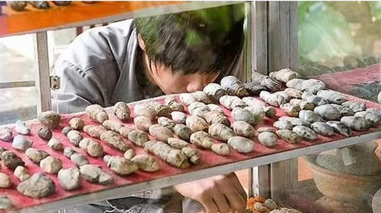 بقايا حيوان قديم تثير دهشة العلماء بـ "طفيليات نادرة"