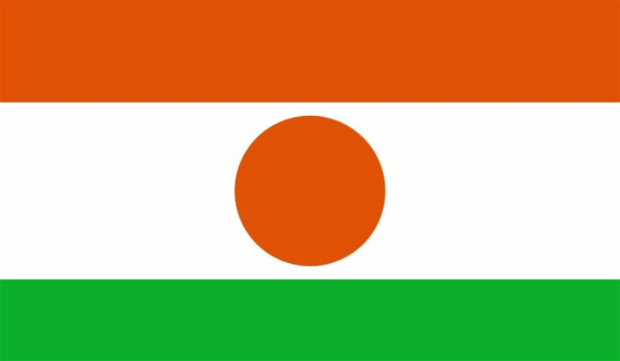 المجموعة العسكرية في النيجر تطلب دعم غينيا