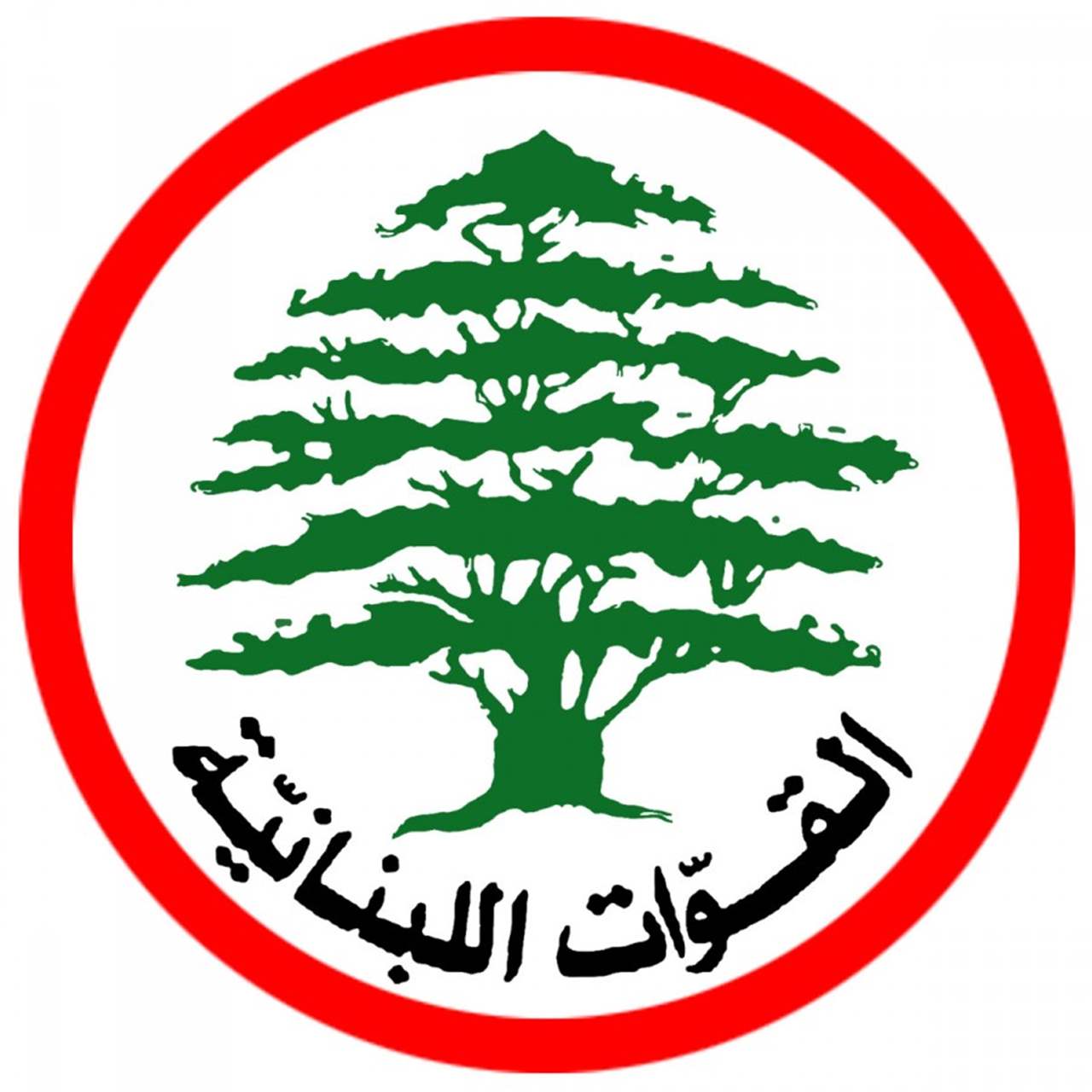 القوات اللبنانية: لا صحة لما ورد في صحيفة الأنباء الكويتية حول الانتخابات الرئاسية
