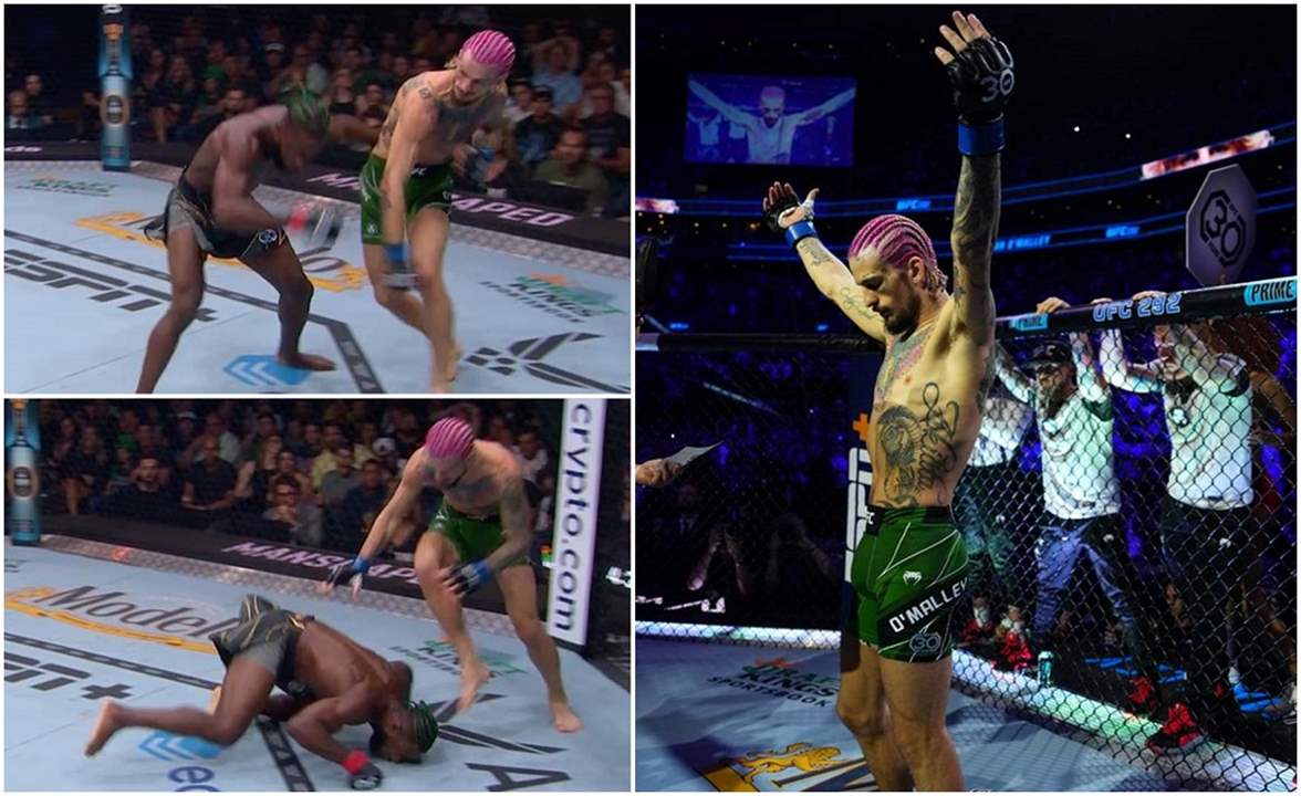 فيديو - بطلٌ جديد للعالم في فنون القتال .. وبالضربة القاضية