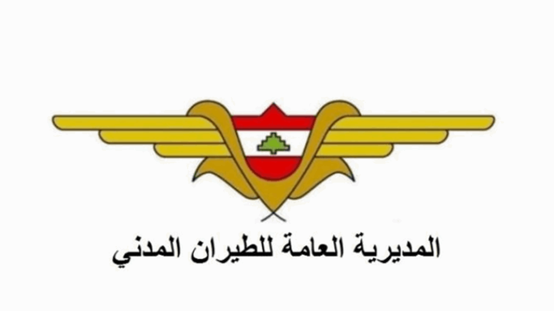  المديرية العامة للطيران المدني تصدر بياناً حول رحلات أربعين الامام الحسين