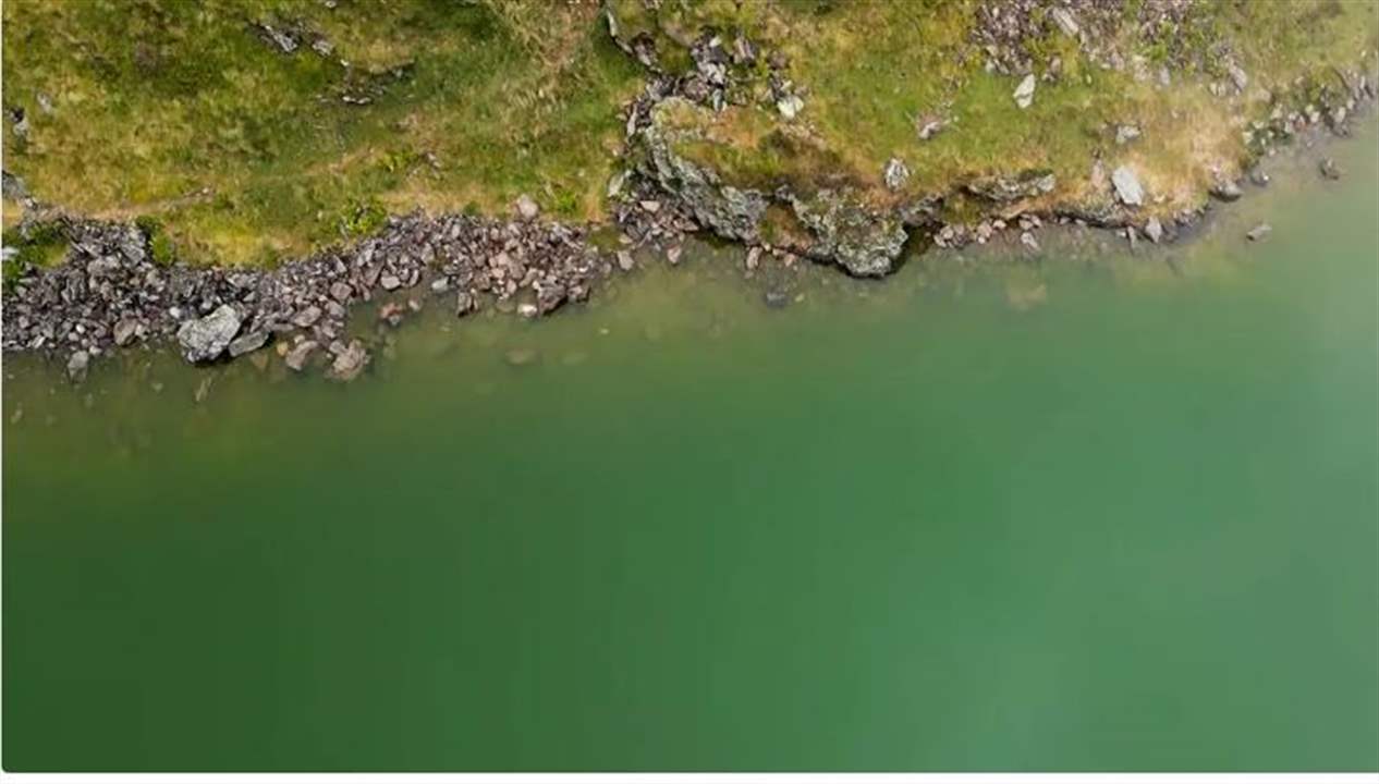بحيرات فرنسية تصطبغ بالأخضر... السبب؟