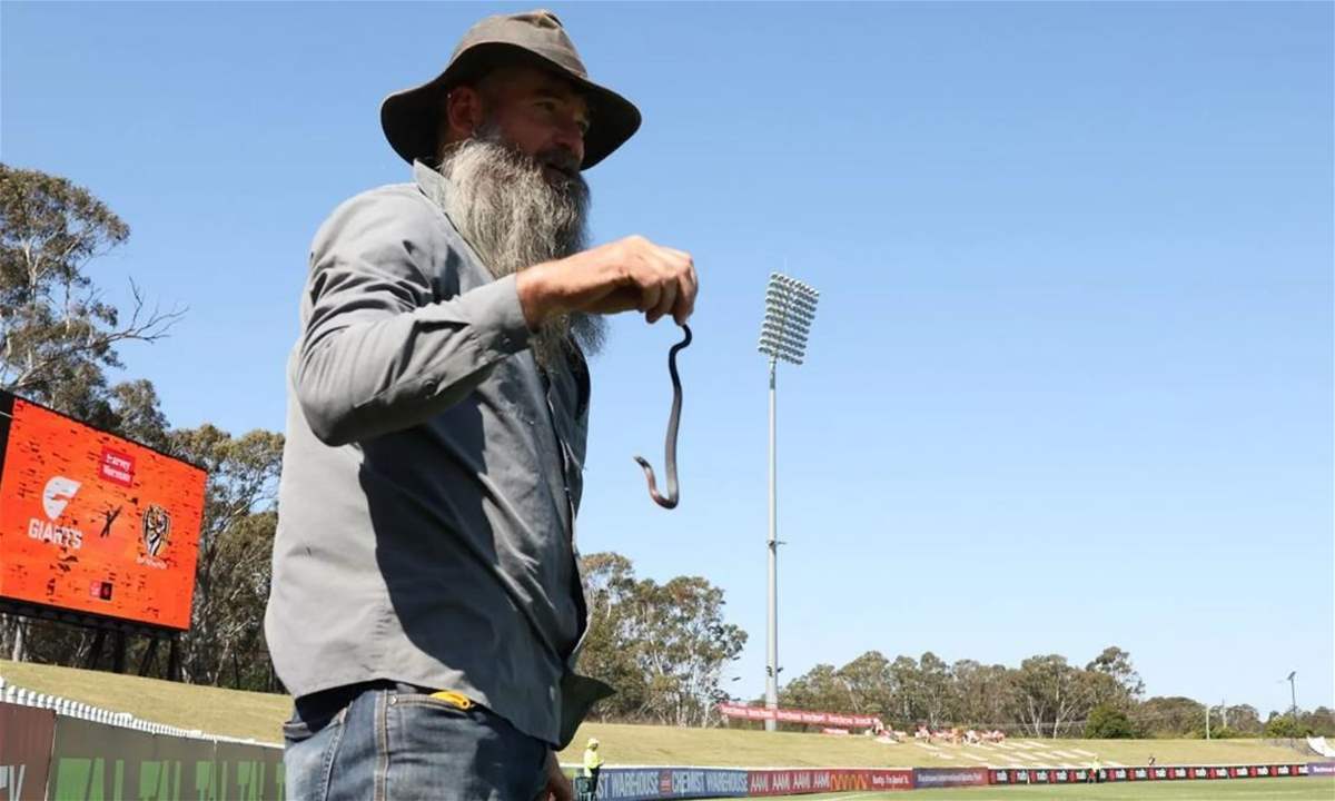 ثعبان سام يقتحم مباراة نسائية وفيديو يوّثق الحدث 