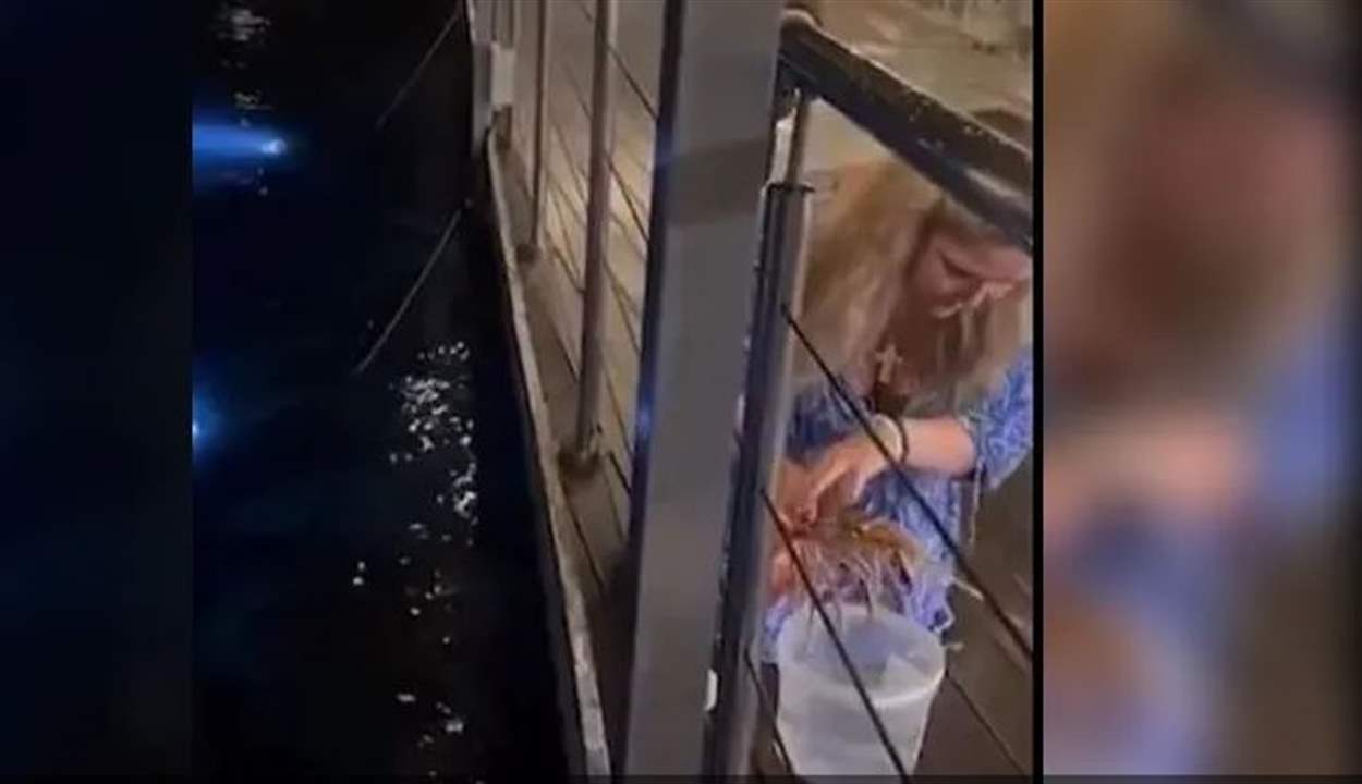 بالفيديو - طلبت من المطعم إحضار السلطعون قبل طبخه ... وهذا ما قامت به