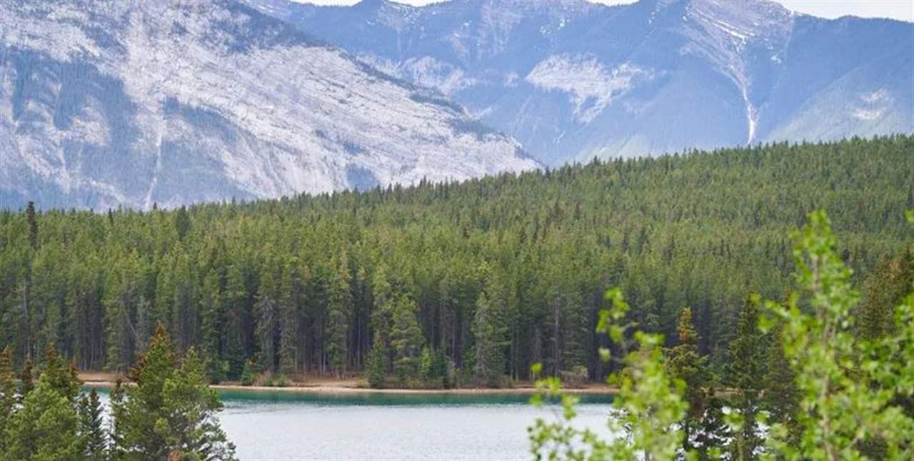 أظهر سلوكاً عدوانياً.. دب يقتل شخصين في متنزه بكندا