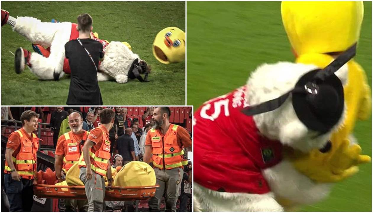 فيديو - "تميمة رين" تُسقط "تميمة نانت" بالضربة القاضية