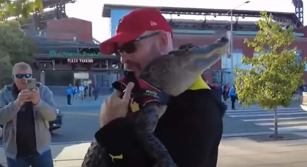 بالفيديو - منع من حضور المباراة بسبب تمساح