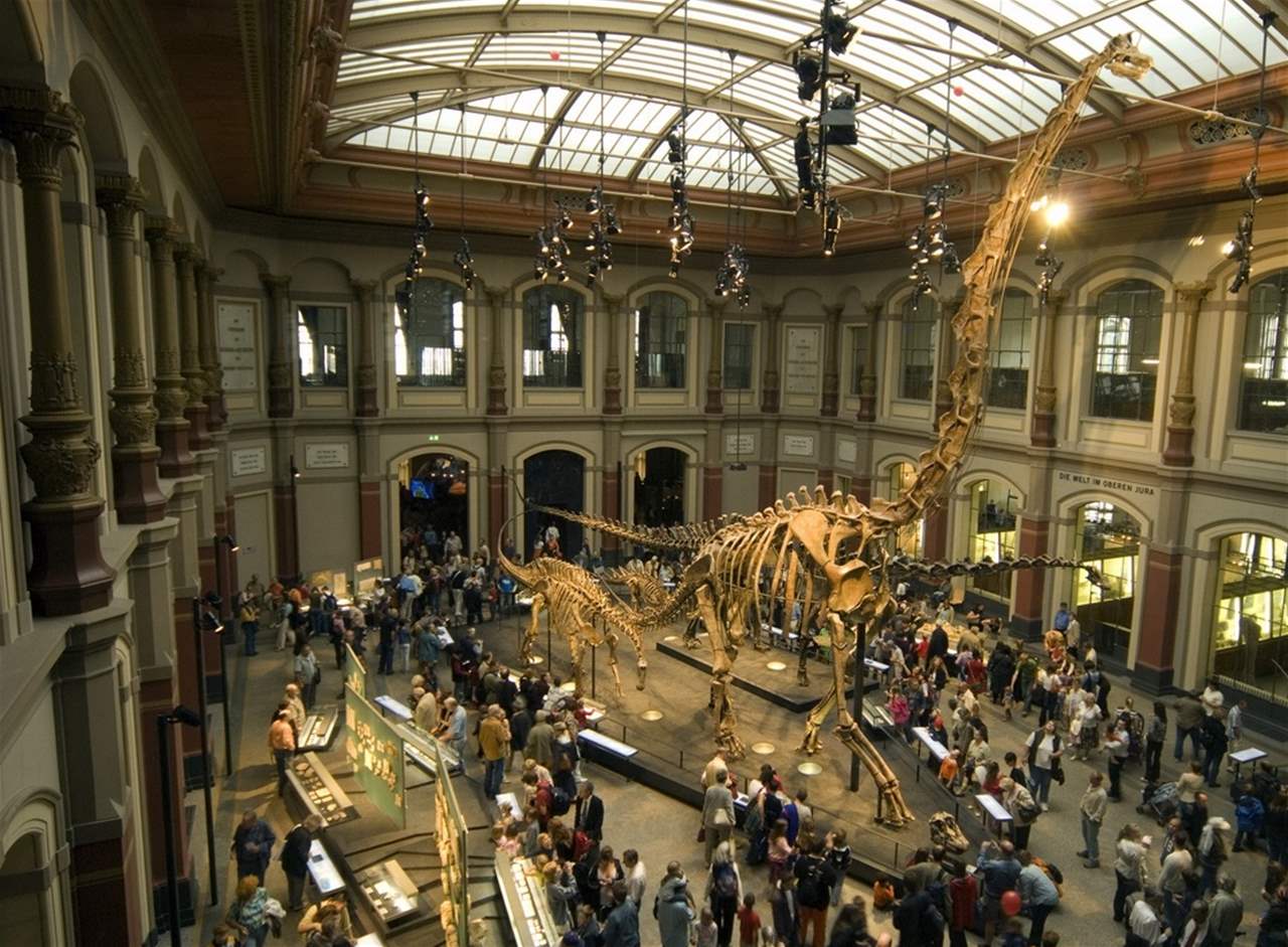 لشراء سيارات وساعات فاخرة.. احتيال "عجيب" لموظف متحف في ميونخ! 