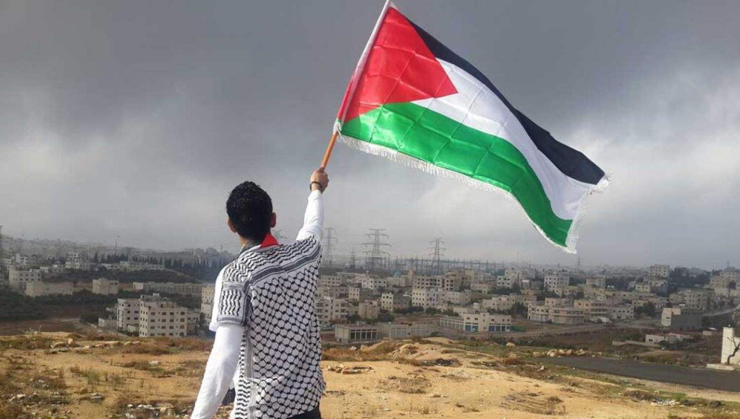 النجوم يدعمون الفلسطينيين: قلوبنا وعقولنا مع أهلنا في فلسطين