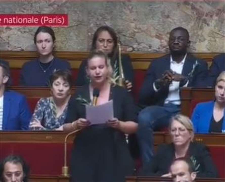 نائبة فرنسية للمجتمع الدولي : اوقفوا اطلاق النار في غزة ...  وجنبلاط ينشر الفيديو 