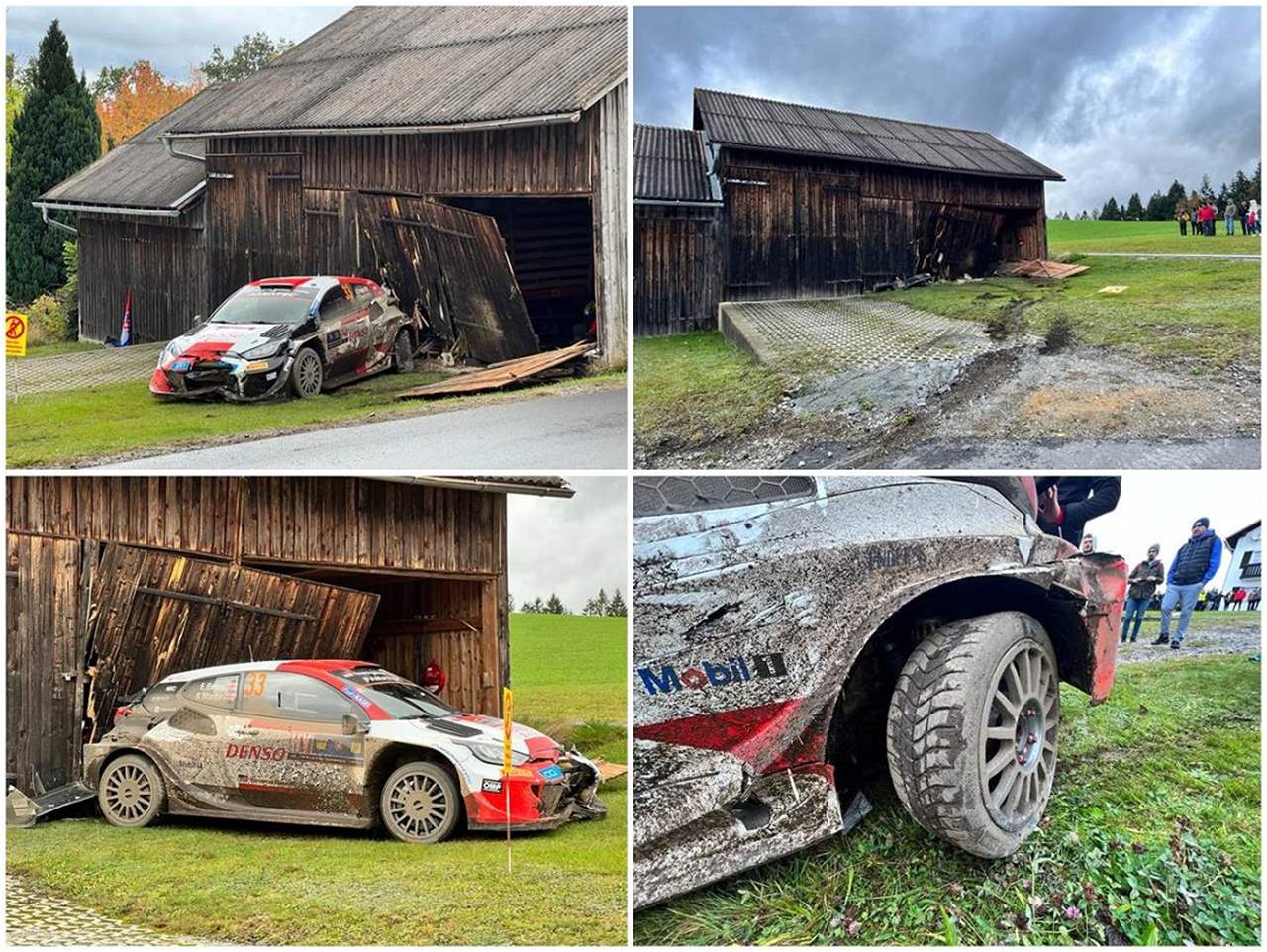 فيديو - استقر في حظيرة منزل بدلاً من منصة التتويج !!